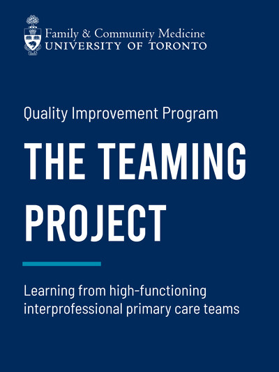 The Teaming Project Report cover
