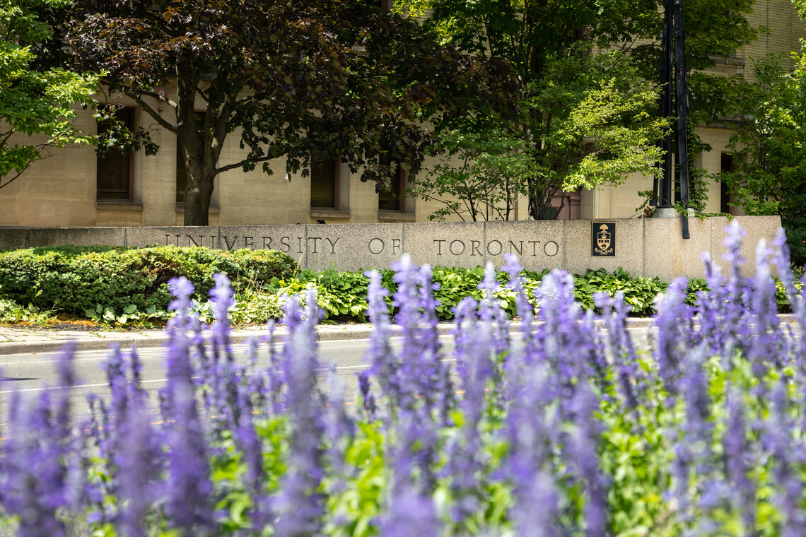 Purple flowers in front of a U of T building